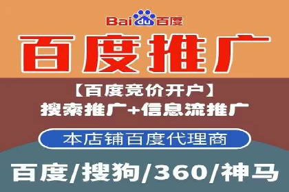 百度竞价排名服务：成功案例解析